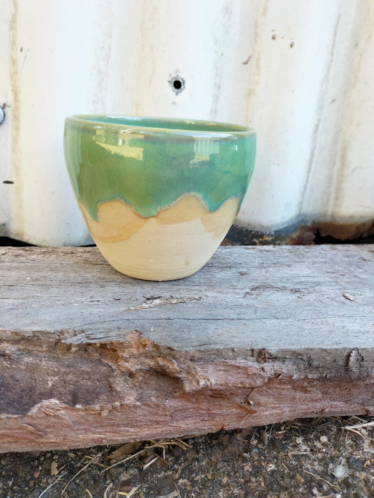 Beach Day Cup